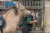 Teilhabe für Ponys ist längst überfällig.